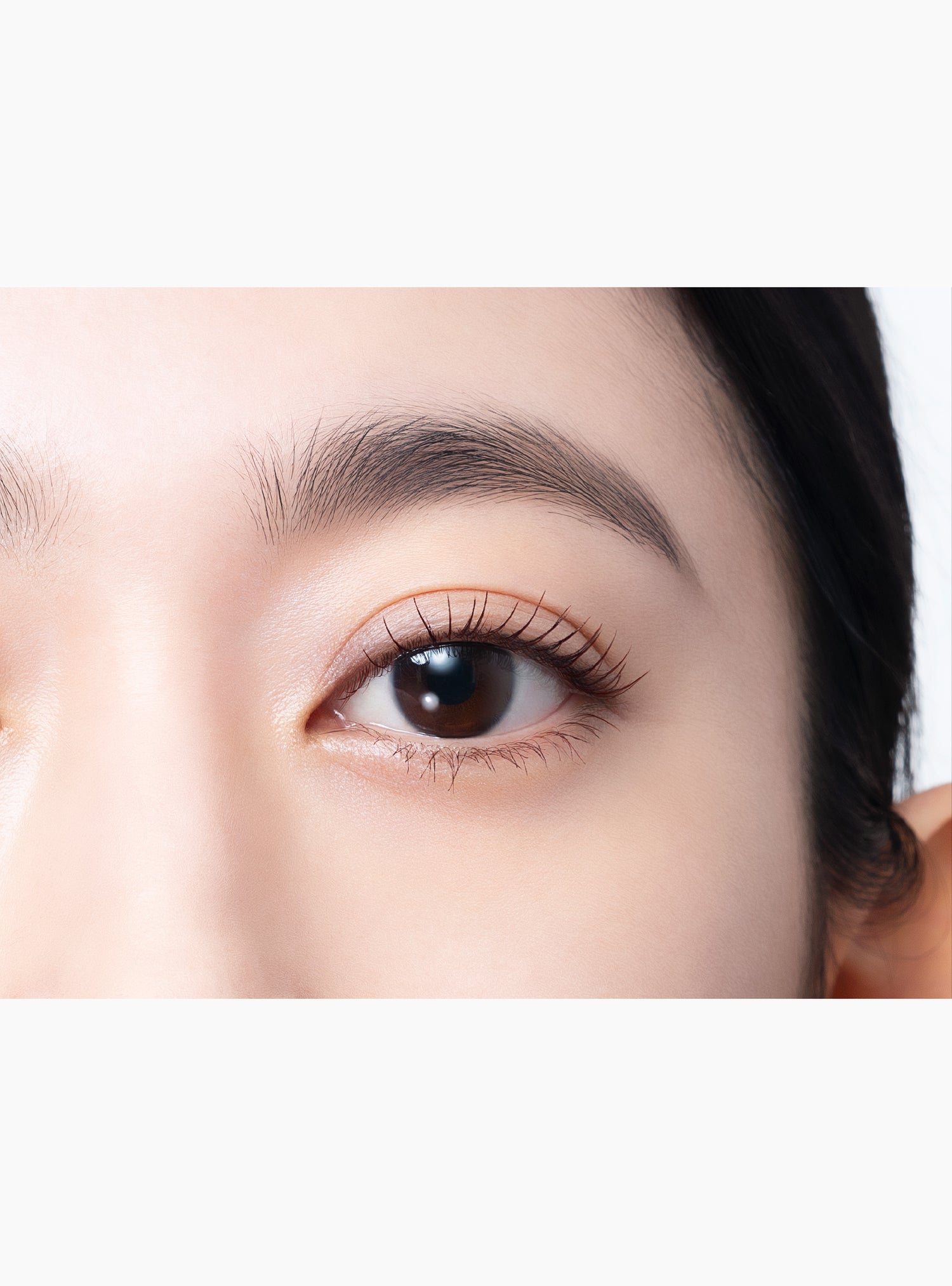MOTEMASCARA ALL IMPACT / Brown Black