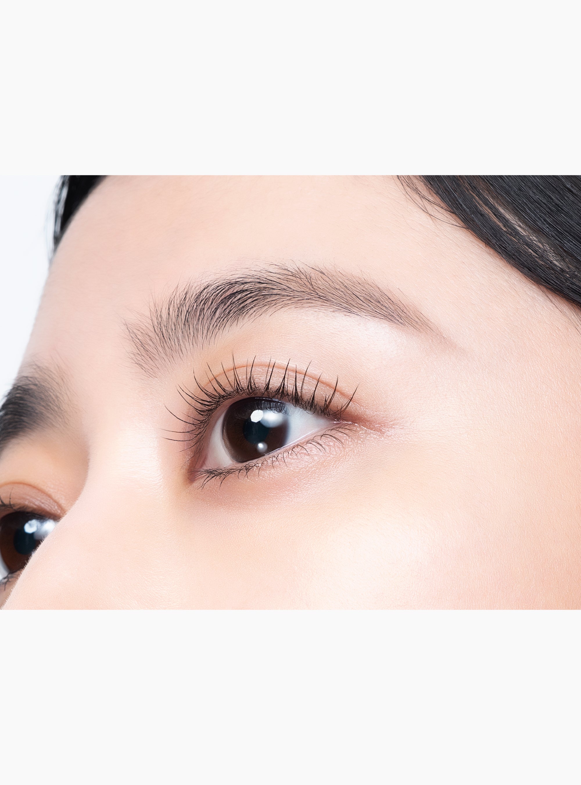 MOTE MASCARA CLEAR FIBER 6本セット MOTE MASCARA ブラック – UZU BY FLOWFUSHI