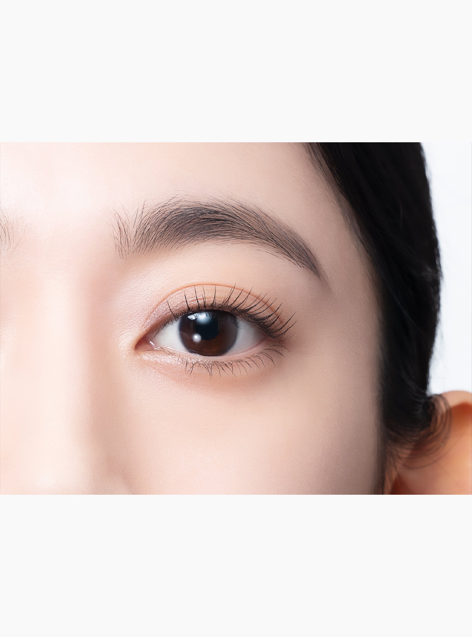 MOTE MASCARA CLEAR FIBER 6本セット MOTEMASCARA - フローフシストア